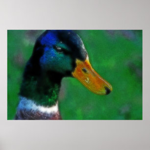Zuidwaartse Mallard Print