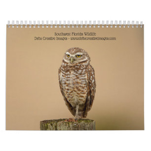 Zuidwest Florida Wildlife 2025 Kalender