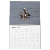 Zuidwest Florida Wildlife 2026 Kalender (Feb 2026)