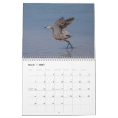 Zuidwest Florida Wildlife 2026 Kalender (Mar 2027)