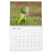 Zuidwest Florida Wildlife 2026 Kalender (Jan 2027)