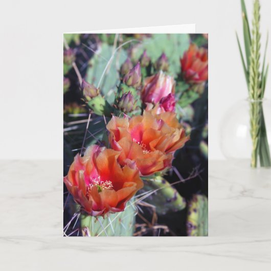 Zuidwest-Kaart Feestdagen Kaart (Voorkant)