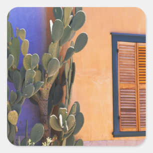 Zuidwestelijke Cactus (Opuntia dejecta) en Vierkante Sticker