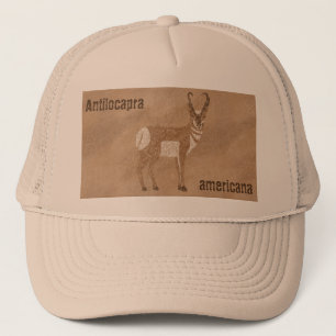 Zuidwestelijke Gaffelbokantilope Trucker Pet
