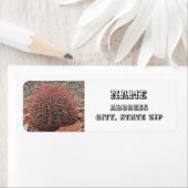 Zuidwestelijke StijlwoestijnPlant Rood Barrel Cact Etiket (Insitu)