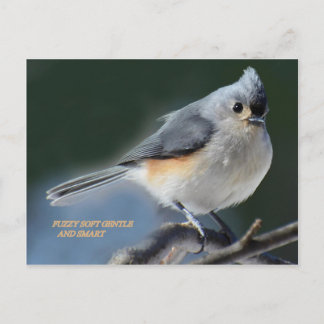 ZUIGZY SOFT GENTLE EN SMART BRIEFKAART