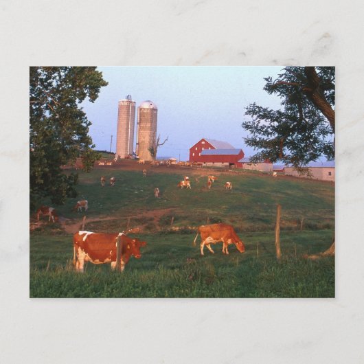 ZuivelBoerderij Briefkaart (Voorkant)