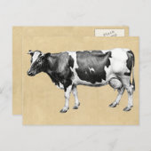 ZuivelKoe Briefkaart (Voorkant / Achterkant)