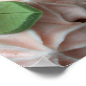 Zuivelkoeken Poster (Hoek)