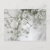 Zuiver Briefkaart (Voorkant)