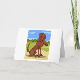 Zuiver gefokte Ierse setter hond Kaart