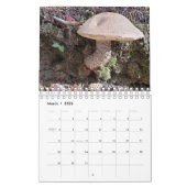 Zuivere huizen gevonden in natuur kalender (Mar 2026)