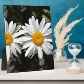  zuivere witte melkbloemen fotoplaat (Zijkant)