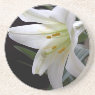 , zuivere witte paasbloem in zwart zandsteen onderzetter