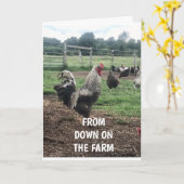 **ZUIVEREN VERDAG OP DE KAART VAN HET BOERDERIJ" (Gele Bloem)