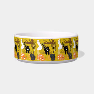 Zulke verschillende katten. Middelgrote huisdieren Voerbakje