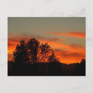 Zulu Dawn Briefkaart