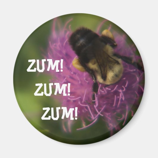Zum Zum Zum Magnet (Devant)