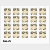Zuni grails vierkante sticker (Vel)
