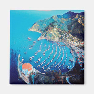 zUS010 SANTA CATALINA Island, California, Fridge Magneet