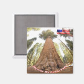 zUS127 SEQUOIA N.P. General Sherman, Fridge Magneet (Voorkant / Achterkant)