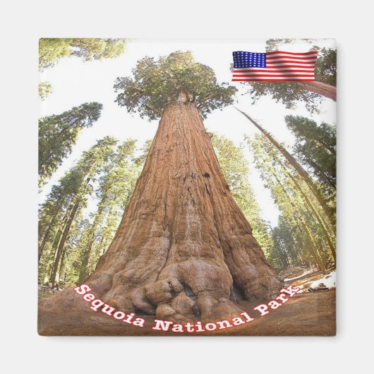 zUS127 SEQUOIA N.P. General Sherman, Fridge Magneet (Voorkant)