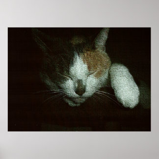 Zusje slapend op een kattentoren poster