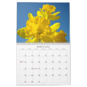 Zussen zijn voor altijd! Calendars Gifts for Siste Kalender (Mar 2026)