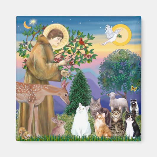 Zuster Frances Blessing 5 katten Magneet (Voorkant)