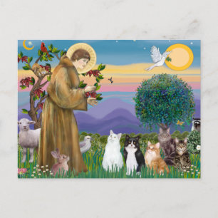 Zuster Frances die 5 katten zegent Briefkaart