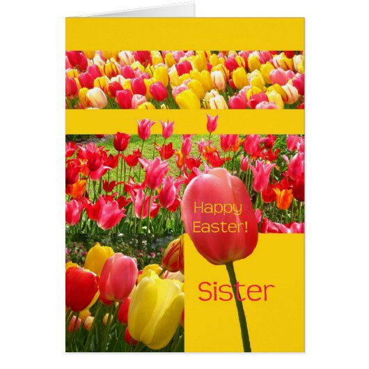Zuster Happy Pap Tulip-kaart (Voorkant)