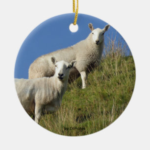 Zuster Sheep Ornament