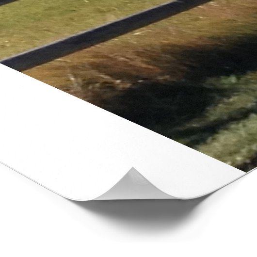 Zusters, Oregon Mountain Range Poster (Hoek)