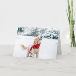 Zutte hond met rode sjaal feestdagen kaart