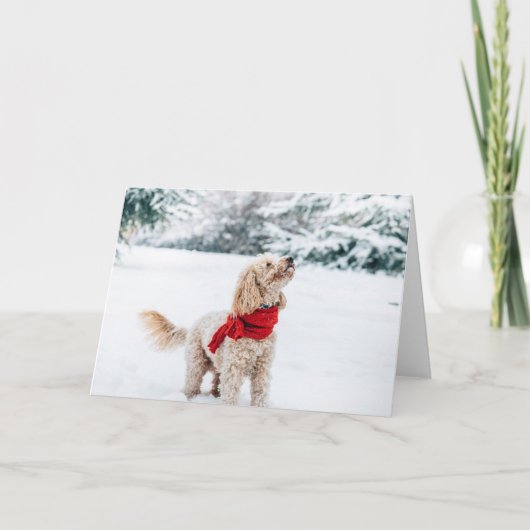 Zutte hond met rode sjaal feestdagen kaart (Voorkant)