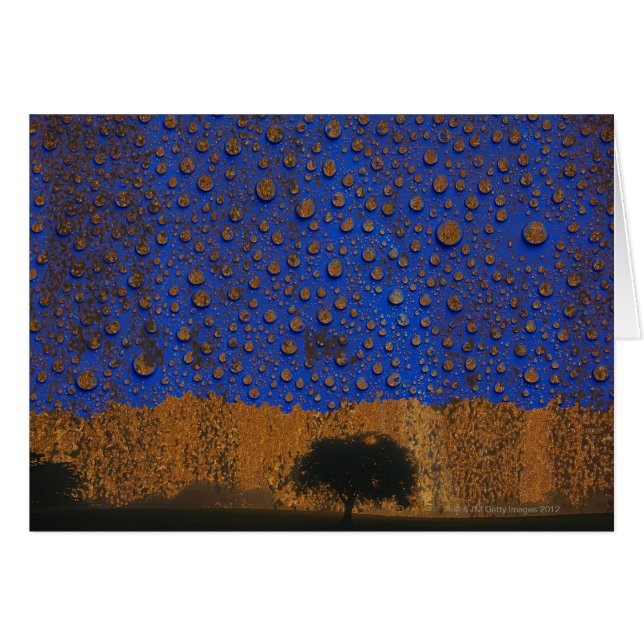 Zuurregen en milieuvervuiling (Voorkant Horizontaal)