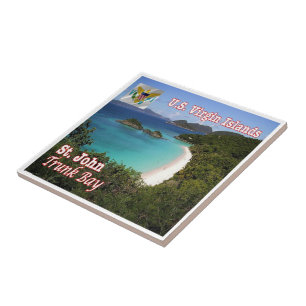 ZVI011 ST. JOHN, Trunk Bay, Viegin Islands, Tegeltje