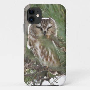 Zw Whett Owl Sleeps buiten Motel op Jersey Shore iPhone 11 Hoesje