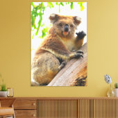 ZWAAIEN KOALA 32x48 Canvas Afdruk (Insitu (Woonkamer))