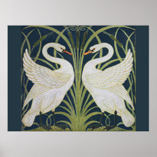 Zwaan Art Nouveau Twee Zwanen Poster