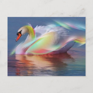zwaan briefkaart