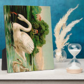  zwaan in het meer fotoplaat (Zijkant)