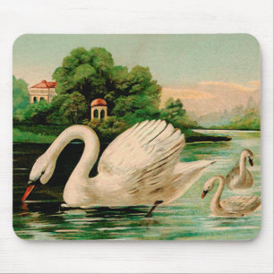  zwaan in het meer muismat