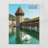 Zwaan in Luzern Zwitserland Reizen Briefkaart (Voorkant)