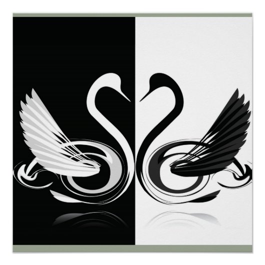 zwaan perfect poster (Voorkant)