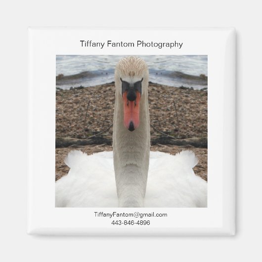 Zwaan Promo Stuk Magneet (Voorkant)