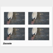 Zwaan Stickers (Vel)