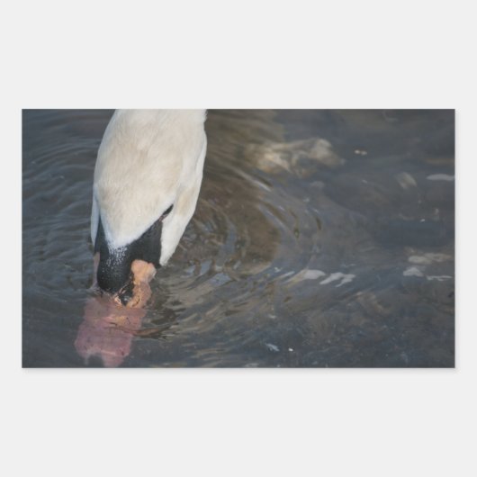 Zwaan Stickers (Voorkant)