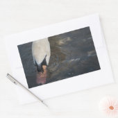 Zwaan Stickers (Envelop)