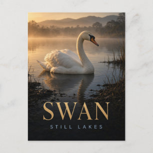 Zwaan Stille Meren Natuur DIER Briefkaart